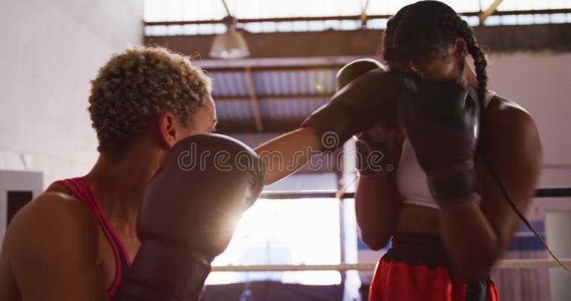 Mixed race woman getting knocked out in boxing ring from Pikwizard