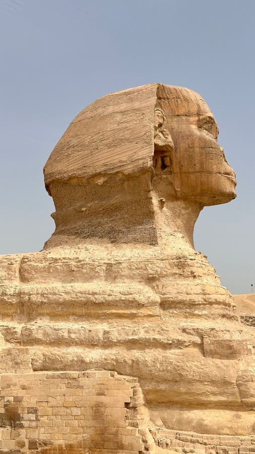 Side view of the Great Sphinx of Giza in Egypt royalty free illustration