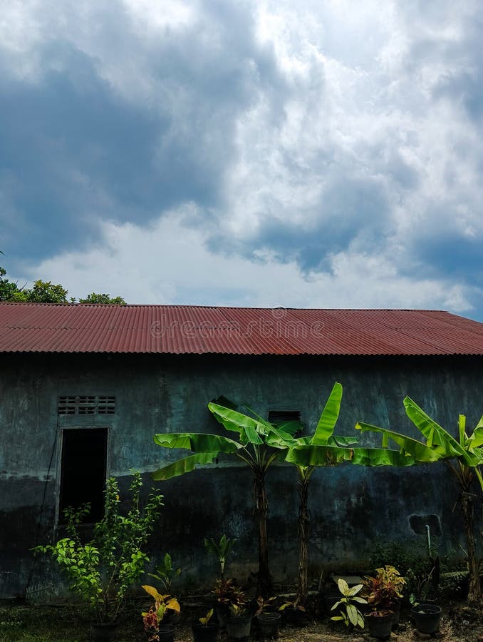 Side view of the house stock image. Image of view, green - 269233983