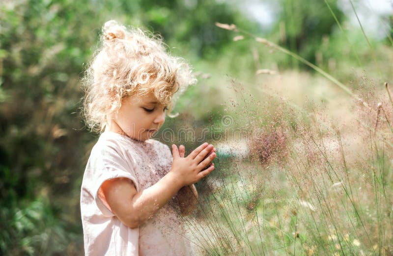 Portrait of Little Girl Outdoors in Summer Stock Image - Image of summer,  girl: 130835843