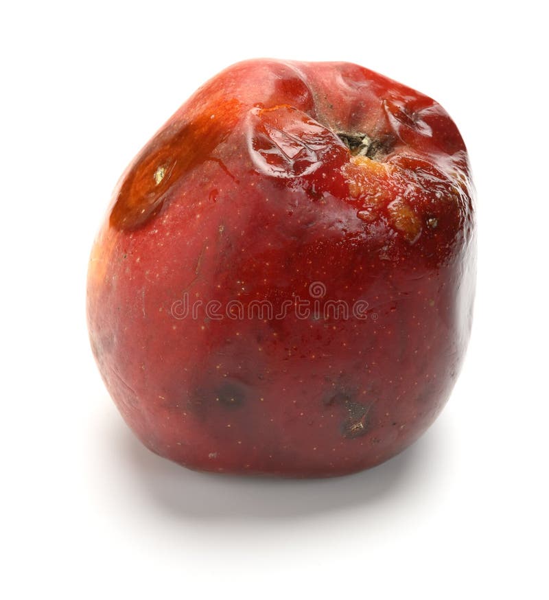 Top View Rotten Mango with Worms on White Background Stock Image - Image of  putrid, hole: 273503067