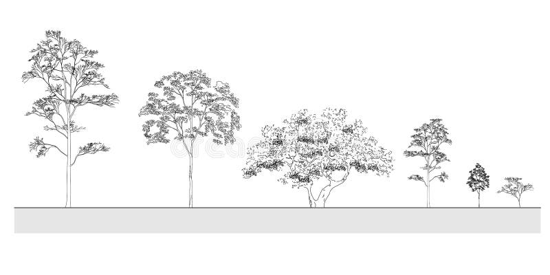 Free Vectors | Hand drawn tree sketch attachment