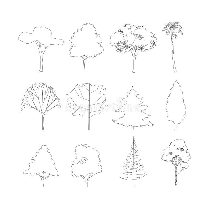 Drawing Garden Architectural - Trees Psd In Elevation Transparent PNG -  589x800 - Free Download on NicePNG