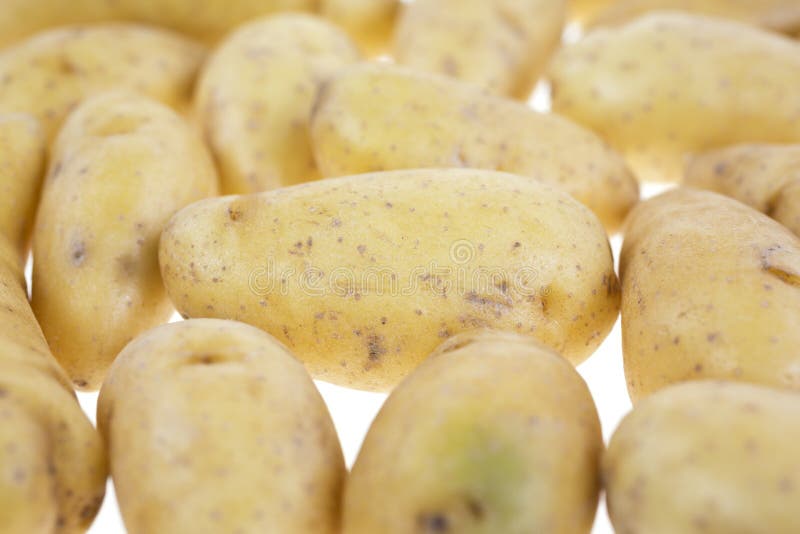 Small Yellow Potatoes in Mesh Bag. Stock Image - Image of container