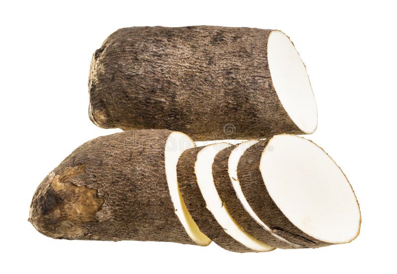 Side View of Sliced Tuber of African Yam Isolated Stock Image Image