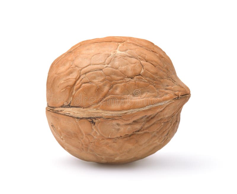 Whole Walnut and Half Walnut Piece. Stock Image Image of open, group