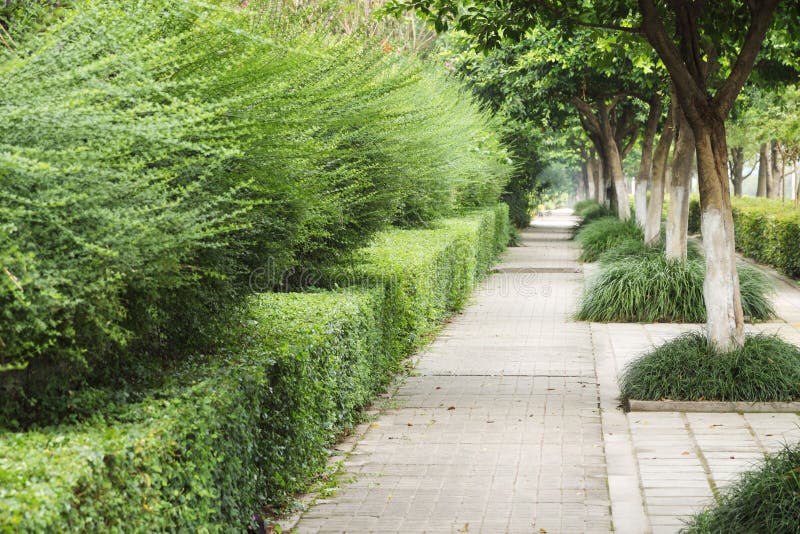 sidewalk imagens de stock sidewalk imagens de stock