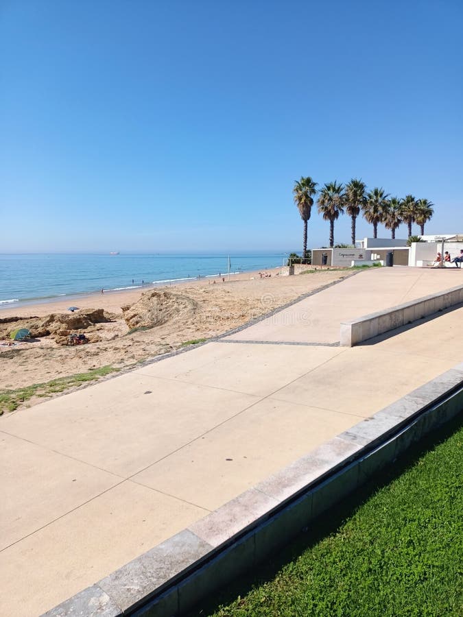 Palm trees grow near the beach Sidewalk along the oceanfront in Lisbon, Portugal. High quality photo. Palm trees grow near the beach Sidewalk along the oceanfront in Lisbon, Portugal. High quality photo