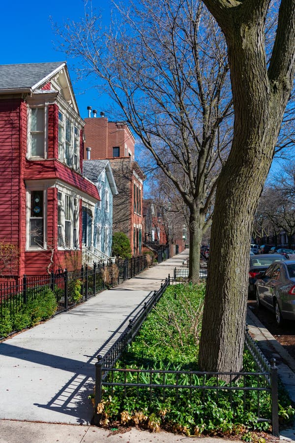 Sidewalk with Trees and Homes in Lincoln Park Chicago Stock Image