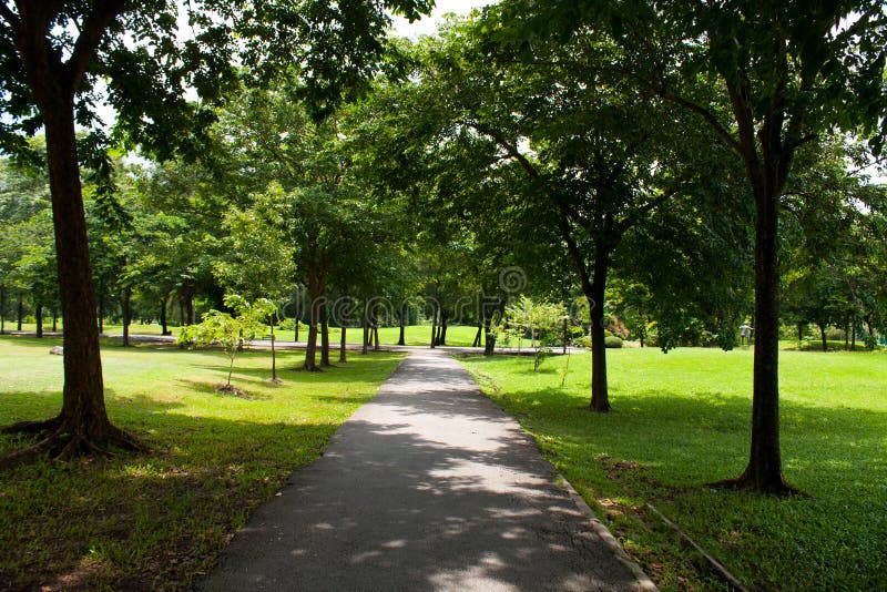 Sidewalk in park