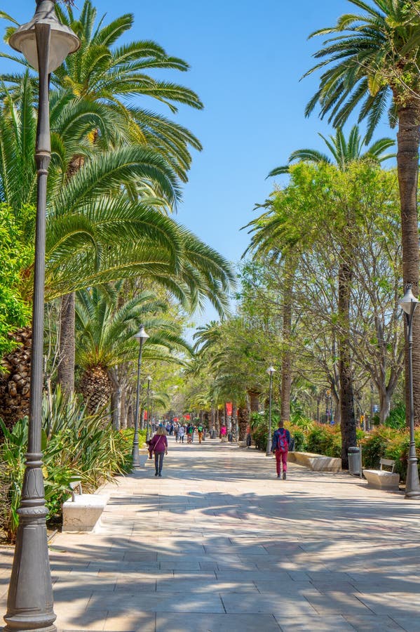 Sidewalk on the Paseo Del Parque in Malaga, Spain with Palm Trees ...