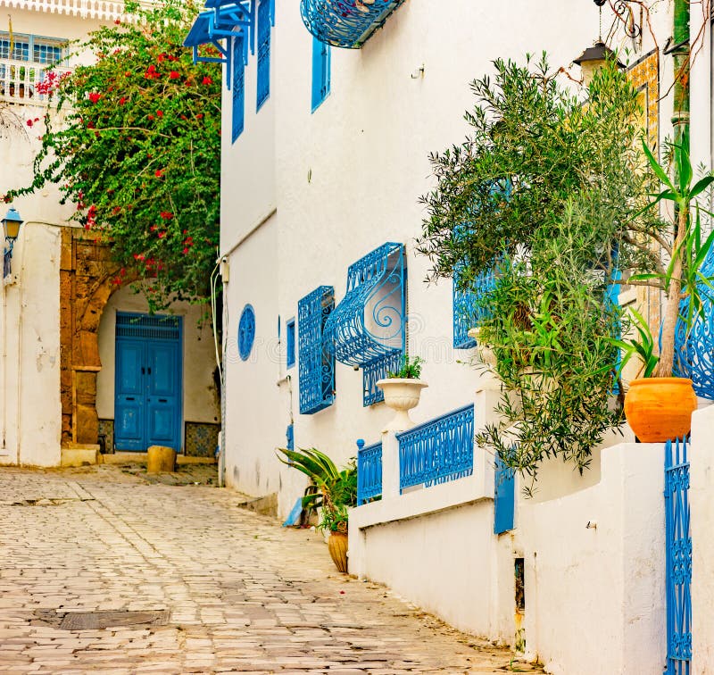 Sidi Bou Said, Famouse Village with Traditional Tunisian Architecture ...