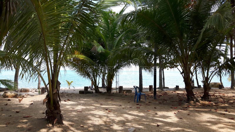 Sidor på sanden och kokosnöten gömma i handflatan på stranden, asia arkivfoto