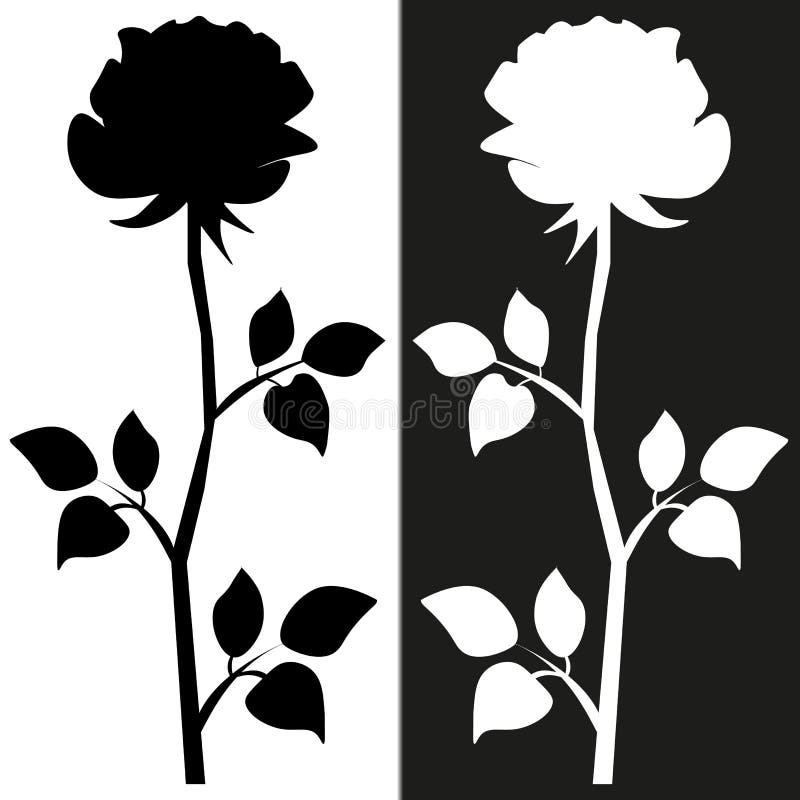 Sie? Kwiatu motywu nakre?lenie dla projekta Czarna sylwetka wzrasta? z li??mi ilustracji Sie? Kwiatu motywu nakre?lenie dla projekta Czarna sylwetka wzrasta? z li??mi ilustracji