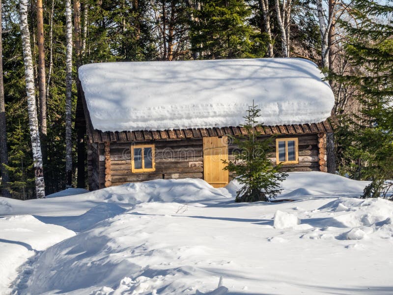 Siekający bela dom lumberjacks i budowniczowie zakrywający z śniegiem w zima lesie w Altai, Rosja obraz stock Siekający bela dom lumberjacks i budowniczowie zakrywający z śniegiem w zima lesie w Altai, Rosja obraz stock