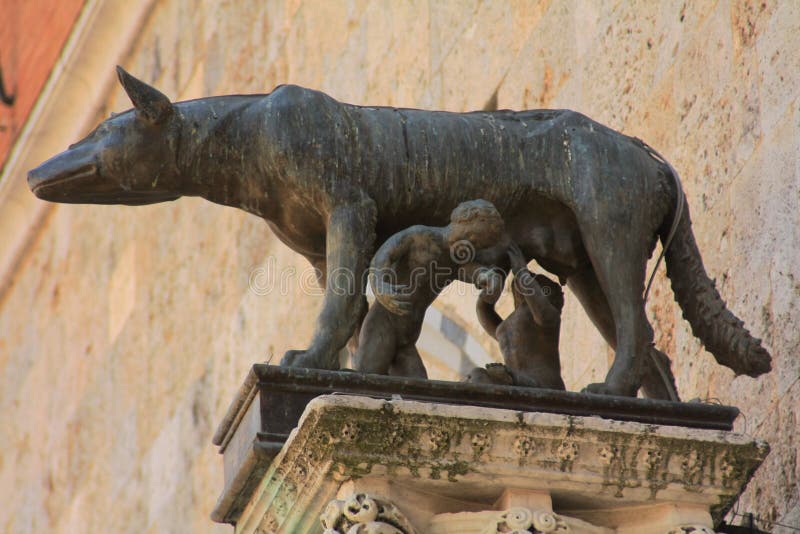 Siena city symbol wolf with Romulus and Remus stock images Siena city symbol wolf with Romulus and Remus stock images