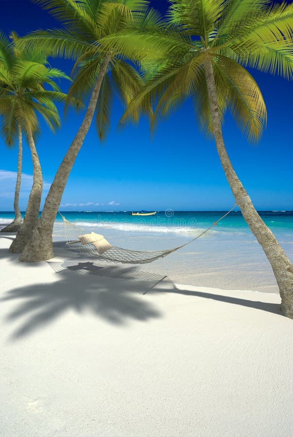 3D rendering of a hammock with cushions hanging from palm trees on a tropical beach. 3D rendering of a hammock with cushions hanging from palm trees on a tropical beach