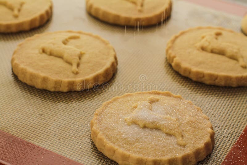 Sifting Sugar Over the Biscuits Stock Photo Image of food, kitchen