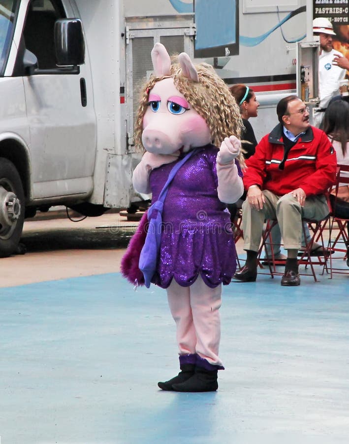 Sig.na Piggy In NY immagini stock libere da diritti Sig.na Piggy In NY immagini stock libere da diritti