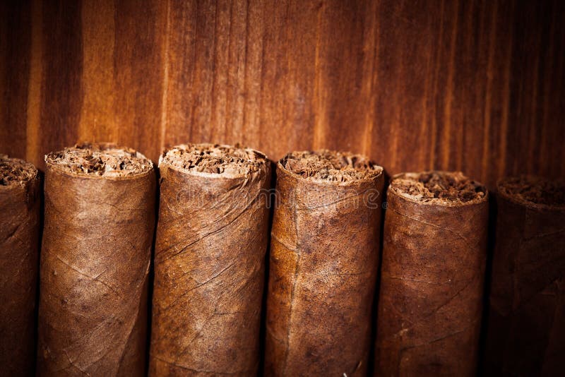 Cigars on wooden background, closeup view. Cigars on wooden background, closeup view