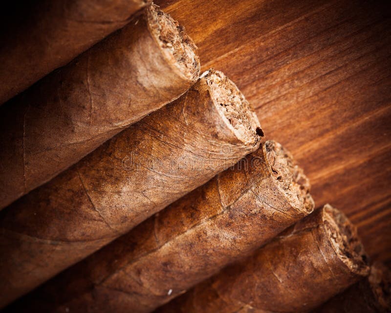 Cigars on wooden background, closeup view. Cigars on wooden background, closeup view
