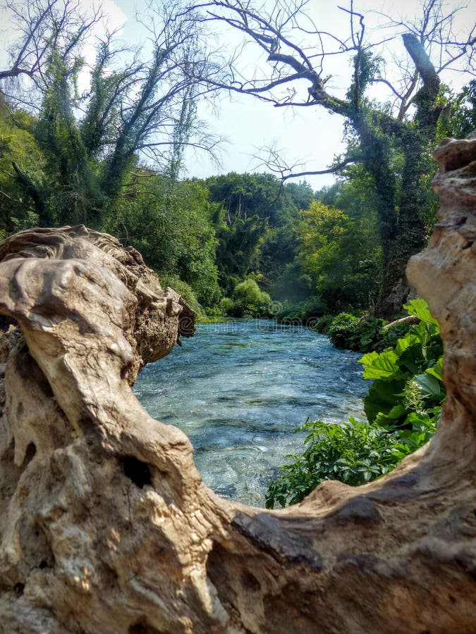 Sight of a river that flows from a tree trunk folded up what could seem a natural window. stock images Sight of a river that flows from a tree trunk folded up what could seem a natural window. stock images