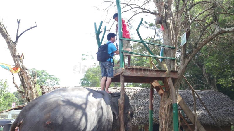SIGIRIYA, ШРИ-ЛАНКА - ФЕВРАЛЬ 2014: Взгляд человека получая слона в Sigiriya Выбывают эти старые слонов от журнала