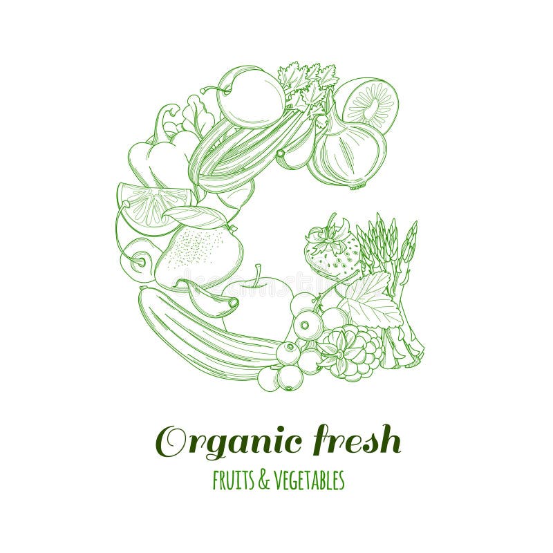 Siglă cu siglă cu siglă cu siglă cu siglă cu siglă ecologică, fructe și legume proaspete de fermă royalty free illustration