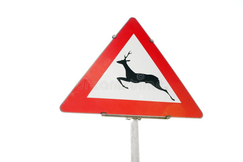 Sign stock image. Image of roadsign, isolated, caution - 7634269