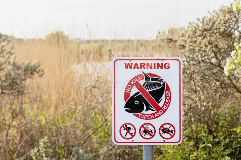 Sign To Regulate Fishing Rules Warning. No Kill. Catch and Release