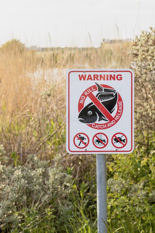 Sign To Regulate Fishing Rules Warning. No Kill. Catch and Release