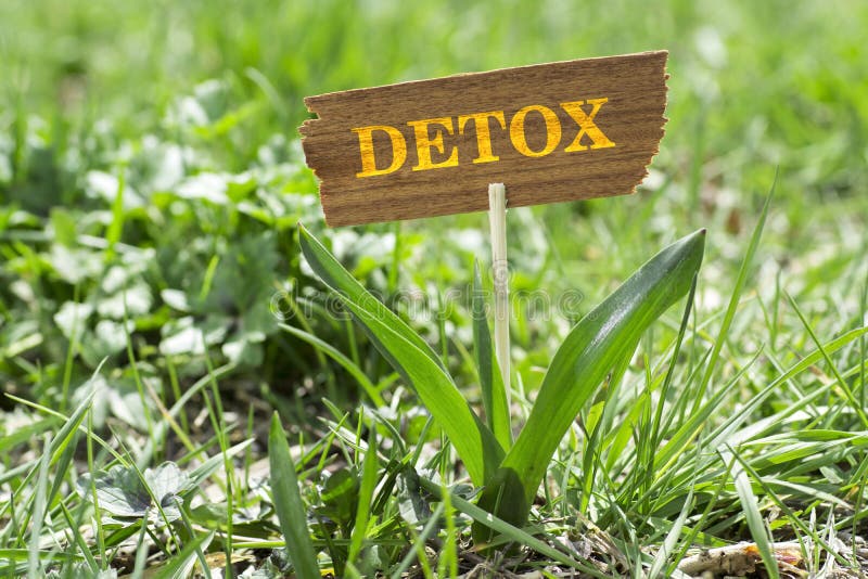 Detox on wooden sign in garden with white spring flower. Detox on wooden sign in garden with white spring flower