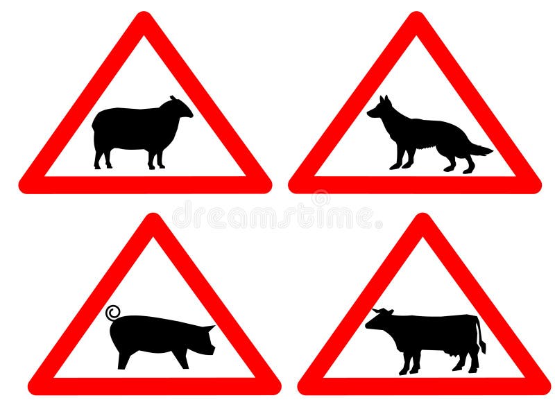 Warning livestock cow sheep pig and sheep dog signs. Warning livestock cow sheep pig and sheep dog signs