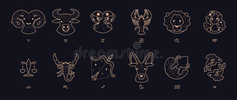 Zodiac signs, set of line art vector illustrations on black background. Collection of pictures symbolizing zodiac signs. Astrology symbols and horoscope, tattoo design or stylish line art. Zodiac signs, set of line art vector illustrations on black background. Collection of pictures symbolizing zodiac signs. Astrology symbols and horoscope, tattoo design or stylish line art