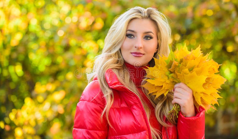 Signora che posa con il fondo autunnale della natura delle foglie Foglie gialle dell'acero cadute mazzo vago biondo della tenuta fotografie stock Signora che posa con il fondo autunnale della natura delle foglie Foglie gialle dell'acero cadute mazzo vago biondo della tenuta fotografie stock