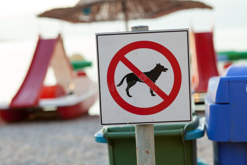 Signs announcing the ban on dogs on the beach.