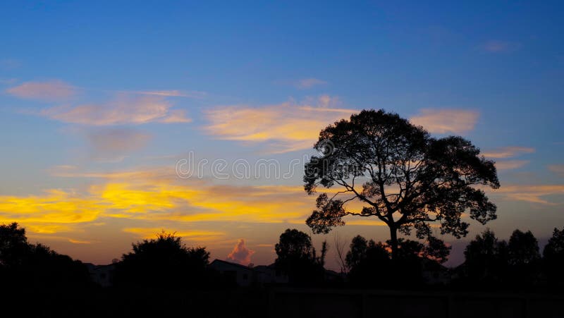 Sihouette da árvore com o céu agradável do por do sol fotografia de stock Sihouette da árvore com o céu agradável do por do sol fotografia de stock