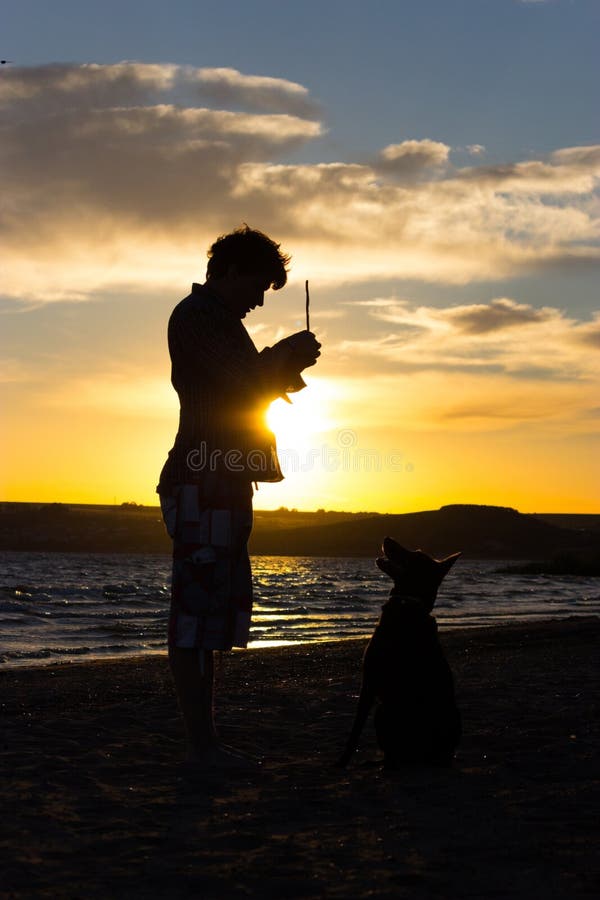 Sihouette of dog and host royalty free stock photos