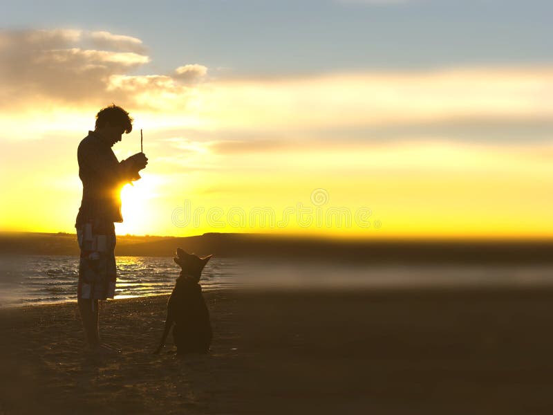 Sihouette of dog and host stock photography