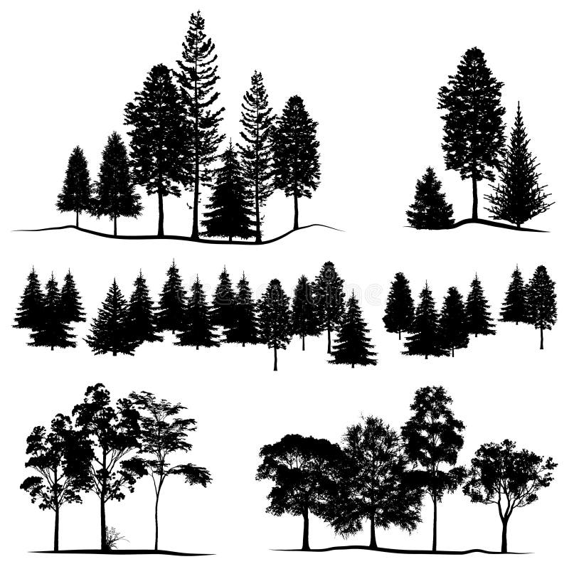 Sihouette van de Deatiled bosboom, Vectorillustratie