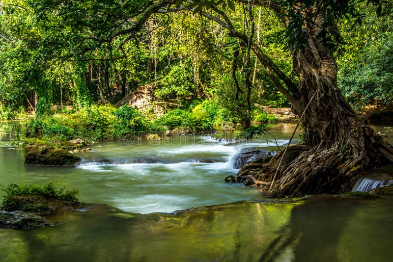 Siklawy natura obrazy royalty free Siklawy natura obrazy royalty free