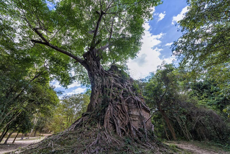 Sikt av den Daem Chrei templet i den Sambor Prei Kuk platsen, Cambodja arkivfoto Sikt av den Daem Chrei templet i den Sambor Prei Kuk platsen, Cambodja arkivfoto