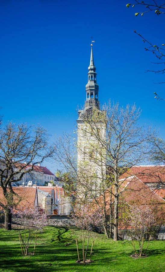 Sikt av den gamla Tallinn härliga vårdagen royaltyfria foton Sikt av den gamla Tallinn härliga vårdagen royaltyfria foton