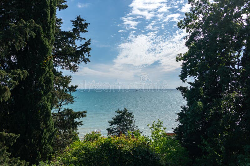 Sikt av det lugna havet till och med de forntida träden Black Sea Sochi arkivfoton Sikt av det lugna havet till och med de forntida träden Black Sea Sochi arkivfoton