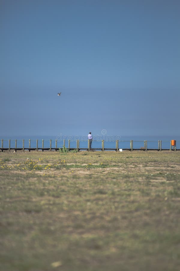Sikt av mannen som ut ser till havet, fot- trägångbana, seagull på blå himmel som bakgrund arkivbilder Sikt av mannen som ut ser till havet, fot- trägångbana, seagull på blå himmel som bakgrund arkivbilder