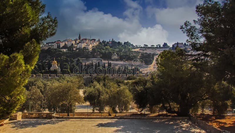Sikt av Mount of Olives i Jerusalem arkivbilder