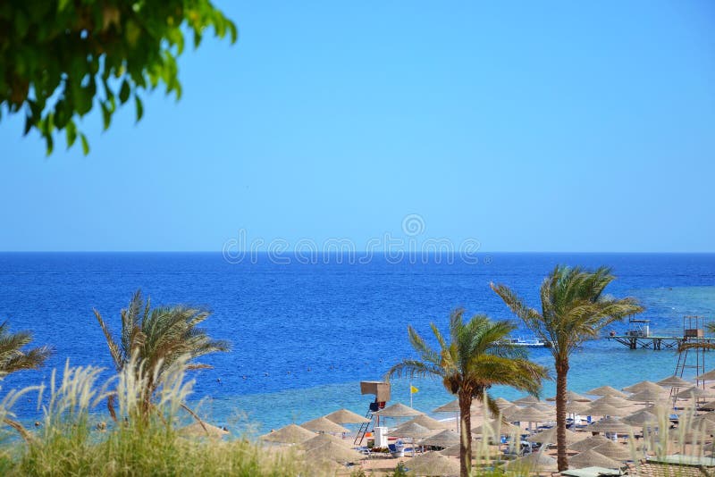 Sikten av gömma i handflatan, sätter på land, och Röda havet i Egypten arkivbilder