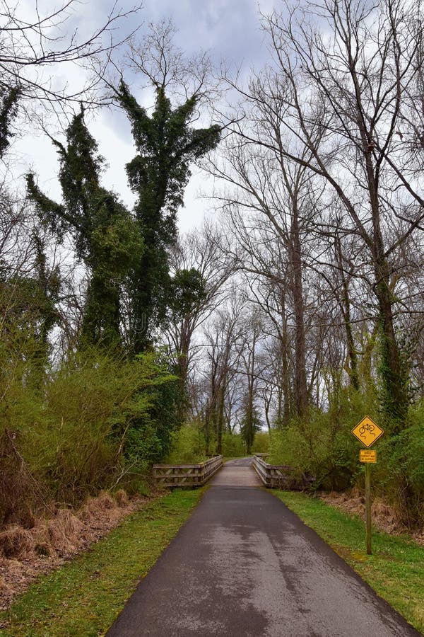 Sikter av broar och banor l?ngs Shelby Bottoms Greenway och de naturliga slingorna f?r omr?desCumberland River fasad, bottomland royaltyfri foto Sikter av broar och banor l?ngs Shelby Bottoms Greenway och de naturliga slingorna f?r omr?desCumberland River fasad, bottomland royaltyfri foto