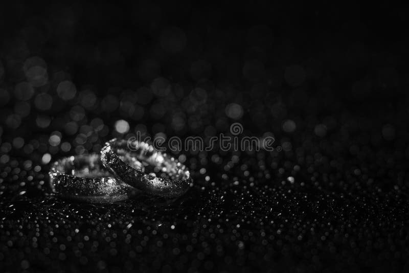 Silber-oder Weißgold-Eheringe im Regen lizenzfreies stockfoto Silber-oder Weißgold-Eheringe im Regen lizenzfreies stockfoto