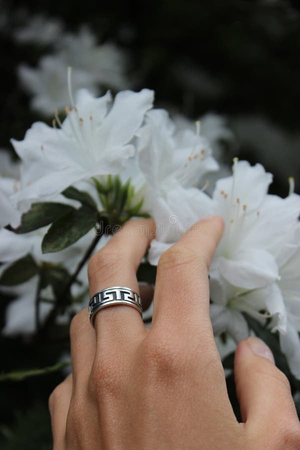 Silberner Ring und die weißen Blumen im Hintergrund lizenzfreie stockbilder Silberner Ring und die weißen Blumen im Hintergrund lizenzfreie stockbilder